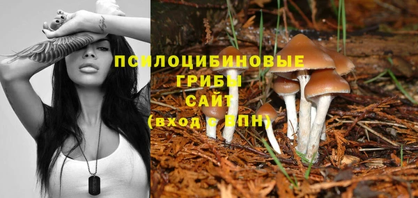 соль ск Ладушкин