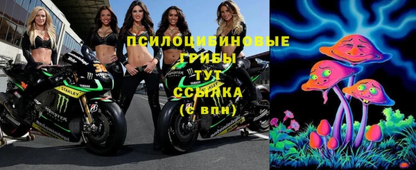 ешки Лагань