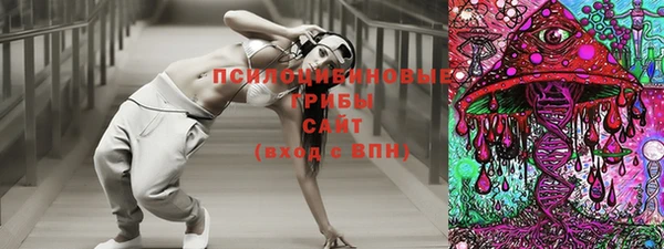 гидропоника Лабытнанги