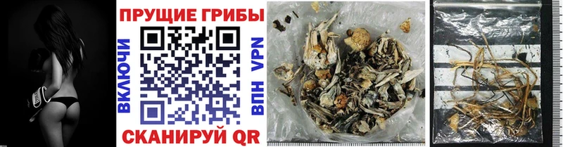 Псилоцибиновые грибы прущие грибы  Купить где  Саранск 